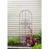 Best reviews of ❤️ 72" Metal Medallion Trellis - Evergreen 😀 -Garden Decor Shop unnamed file 10131