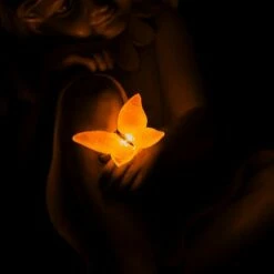 Buy π Evergreen 12"H Girl with Butterfly Garden Statuary π 11 Buy π Evergreen 12"H Girl with Butterfly Garden Statuary π -Garden Decor Shop unnamed file 10153