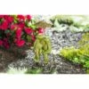 Hot Sale 🎁 Evergreen 14.5"H Garden Statuary, Sitting Frog Couple- Fade and Weather Resistant Outdoor Decor for Homes, Yards and Gardens 🧨 -Garden Decor Shop unnamed file 10183