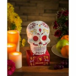 Cheap 🥰 Evergreen University of Southern California, Sugar Skull Statue ⭐ 11 Cheap 🥰 Evergreen University of Southern California, Sugar Skull Statue ⭐ -Garden Decor Shop unnamed file 10242