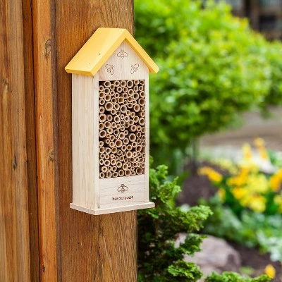 Buy π Evergreen Natural Wood Bee Habitat, Bee Our Guest- 6x14x4 in 𧨠3 Buy π Evergreen Natural Wood Bee Habitat, Bee Our Guest- 6x14x4 in π§¨