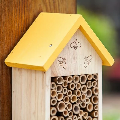 Buy π Evergreen Natural Wood Bee Habitat, Bee Our Guest- 6x14x4 in 𧨠4 Buy π Evergreen Natural Wood Bee Habitat, Bee Our Guest- 6x14x4 in 𧨠- Image 2