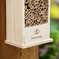 Buy π Evergreen Natural Wood Bee Habitat, Bee Our Guest- 6x14x4 in 𧨠8 Buy π Evergreen Natural Wood Bee Habitat, Bee Our Guest- 6x14x4 in 𧨠-Garden Decor Shop unnamed file 10289