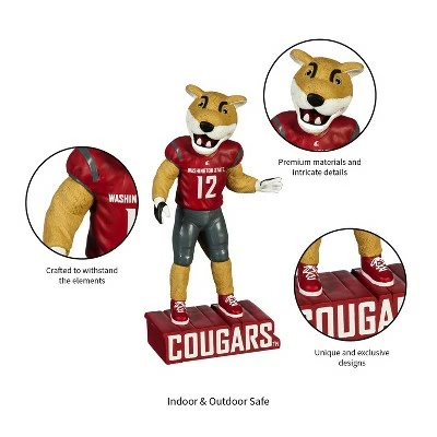 Buy 𧨠Evergreen Washington State University, Mascot Statue 𧨠9 Buy 𧨠Evergreen Washington State University, Mascot Statue 𧨠- Image 7