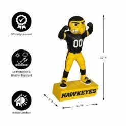 Best Sale 🌟 Evergreen University of Iowa, Mascot Statue 🧨 -Garden Decor Shop unnamed file 10345
