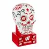 Best reviews of 🎉 Evergreen University of Wisconsin-Madison, Sugar Skull Statue 😉 -Garden Decor Shop unnamed file 10361
