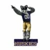 Coupon 😉 Evergreen University of Washington, Mascot Statue 🔔 -Garden Decor Shop unnamed file 10365