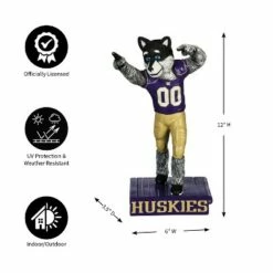 Coupon π Evergreen University of Washington, Mascot Statue π 12 Coupon π Evergreen University of Washington, Mascot Statue π -Garden Decor Shop unnamed file 10369