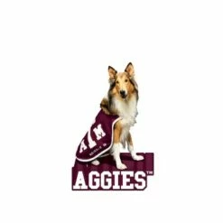 New ⭐ Evergreen Texas A&M, Mascot Statue ⭐ -Garden Decor Shop unnamed file 10405