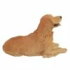 Best reviews of 👍 HI-LINE GIFT LTD 14" Polyresin Laying Down Golden Retriever Statue Tan - Hi-Line Gift 🛒 -Garden Decor Shop unnamed file 1042