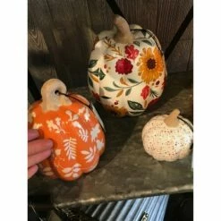 Cheap 😉 Evergreen Set of 3 Printed Ceramic Pumpkins, Autumn Blooms 🥰 -Garden Decor Shop unnamed file 10420