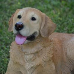 Best reviews of 👍 HI-LINE GIFT LTD 14" Polyresin Laying Down Golden Retriever Statue Tan - Hi-Line Gift 🛒 -Garden Decor Shop unnamed file 1046