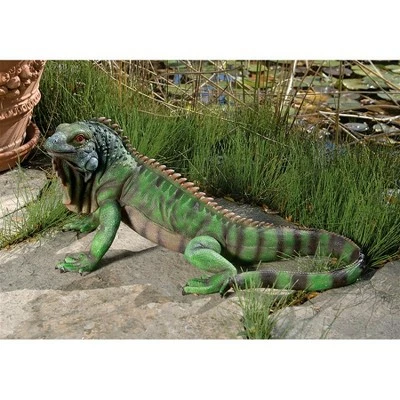 New ๐ Design Toscano Iggy The Iguana Statue - Green โ 3 New ๐ Design Toscano Iggy The Iguana Statue - Green โ