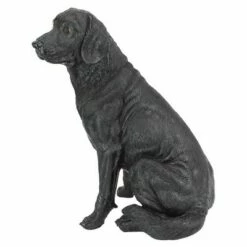 Best Pirce ๐คฉ Design Toscano Black Labrador Retriever ๐ฆฎ Dog Statue - Black ๐ 9 Best Pirce ๐คฉ Design Toscano Black Labrador Retriever ๐ฆฎ Dog Statue - Black ๐ -Garden Decor Shop unnamed file 1060
