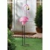 Top 10 ❤️ Zingz & Thingz Zingz & Thingz 35.62" Metal Tropical Tango Flamingo Statue Pink 🌟 -Garden Decor Shop unnamed file 1061