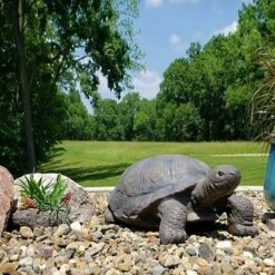 Buy π Sunnydaze Decor Sunnydaze Indoor/Outdoor Lifelike Large Todd the Tortoise Patio Garden Yard Entryway Decorative Statue - 30" π 10 Buy π Sunnydaze Decor Sunnydaze Indoor/Outdoor Lifelike Large Todd the Tortoise Patio Garden Yard Entryway Decorative Statue - 30" π -Garden Decor Shop unnamed file 10652
