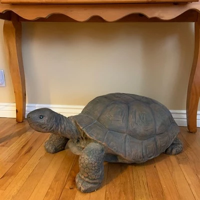 Buy π Sunnydaze Decor Sunnydaze Indoor/Outdoor Lifelike Large Todd the Tortoise Patio Garden Yard Entryway Decorative Statue - 30" π 6 Buy π Sunnydaze Decor Sunnydaze Indoor/Outdoor Lifelike Large Todd the Tortoise Patio Garden Yard Entryway Decorative Statue - 30" π - Image 4