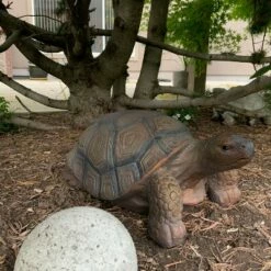 Outlet 😍 Sunnydaze Decor Sunnydaze Indoor/Outdoor Lifelike Large Tanya the Tortoise Patio Garden Yard Entryway Decorative Statue - 20" 🥰 -Garden Decor Shop unnamed file 10744