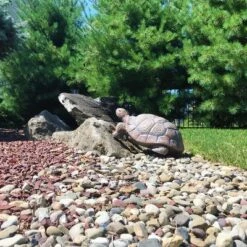 Outlet 😍 Sunnydaze Decor Sunnydaze Indoor/Outdoor Lifelike Large Tanya the Tortoise Patio Garden Yard Entryway Decorative Statue - 20" 🥰 -Garden Decor Shop unnamed file 10745