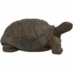 Outlet 😍 Sunnydaze Decor Sunnydaze Indoor/Outdoor Lifelike Large Tanya the Tortoise Patio Garden Yard Entryway Decorative Statue - 20" 🥰 -Garden Decor Shop unnamed file 10747