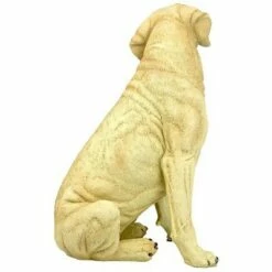 Best reviews of ❤️ Design Toscano Golden Labrador Retriever 🐕 Dog Statue 👏 -Garden Decor Shop unnamed file 1084