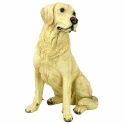 Best reviews of ❤️ Design Toscano Golden Labrador Retriever 🐕 Dog Statue 👏 -Garden Decor Shop unnamed file 1086