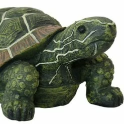 Promo ❤️ Sunnydaze Decor Sunnydaze Indoor/Outdoor Lifelike Polyresin Terrance the Tortoise Patio Garden Yard Entryway Decorative Statue - 9" - 2pk 😉 -Garden Decor Shop unnamed file 10886