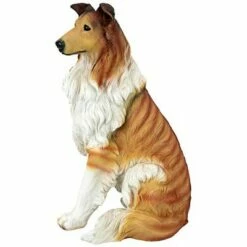 Best Pirce ⭐ Design Toscano Long-Haired Collie 🐕 Dog Statue - Multicolored 👏 -Garden Decor Shop unnamed file 1105