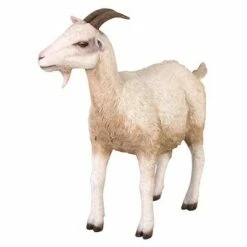 Best reviews of 🎁 Design Toscano Billy Goat Statue 🥰 -Garden Decor Shop unnamed file 1113