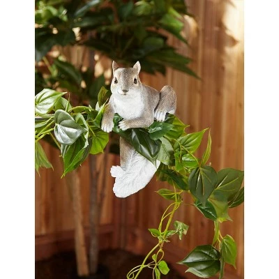 Top 10 𧨠Zingz & Thingz Zingz & Thingz 6.5" Polyresin Climbing Chip Squirrel Décor Statue Brown π€© 6 Top 10 𧨠Zingz & Thingz Zingz & Thingz 6.5" Polyresin Climbing Chip Squirrel Décor Statue Brown π€© - Image 4