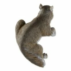 Top 10 𧨠Zingz & Thingz Zingz & Thingz 6.5" Polyresin Climbing Chip Squirrel Décor Statue Brown π€© 14 Top 10 𧨠Zingz & Thingz Zingz & Thingz 6.5" Polyresin Climbing Chip Squirrel Décor Statue Brown π€© -Garden Decor Shop unnamed file 11201