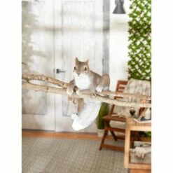 Top 10 𧨠Zingz & Thingz Zingz & Thingz 6.5" Polyresin Climbing Chip Squirrel Décor Statue Brown π€© 17 Top 10 𧨠Zingz & Thingz Zingz & Thingz 6.5" Polyresin Climbing Chip Squirrel Décor Statue Brown π€© -Garden Decor Shop unnamed file 11204