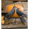 Wholesale 𧨠11" π Halloween Pumpkin Iron Holder with Ravens On Branch - Evergreen π 1 Wholesale 𧨠11" π Halloween Pumpkin Iron Holder with Ravens On Branch - Evergreen π -Garden Decor Shop unnamed file 11249