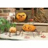 Outlet 👏 Set of 2 Iron Pumpkin Holders Owl - Evergreen 🛒
