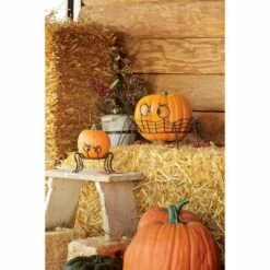 Best reviews of π Set of 2 Iron Pumpkin Holders Spooky Spider - Evergreen π―