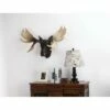 Cheapest 🛒 HI-LINE GIFT LTD 27" Polyresin Moose Head Wall Mount Outdoor Statue Black - Hi-Line Gift 🧨 -Garden Decor Shop unnamed file 1132