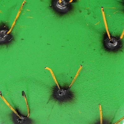 Best reviews of π― Sunnydaze Decor Sunnydaze Yellow-Needled Barrel Cactus Metal Statue - Rustic Metal Art Sculpture for the Yard - For Indoor or Outdoor Use - 17.5-Inch - Green β 4 Best reviews of π― Sunnydaze Decor Sunnydaze Yellow-Needled Barrel Cactus Metal Statue - Rustic Metal Art Sculpture for the Yard - For Indoor or Outdoor Use - 17.5-Inch - Green β - Image 2