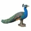 Top 10 😀 HI-LINE GIFT LTD 12" Polyresin Standing Small Peacock Statue Blue - Hi-Line Gift 👍 -Garden Decor Shop unnamed file 1134