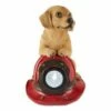 Cheapest π Zingz & Thingz Zingz & Thingz 6" Polyresin πΆ Dog and Fire Helmet Solar Statue π₯ 2 Cheapest π Zingz & Thingz Zingz & Thingz 6" Polyresin πΆ Dog and Fire Helmet Solar Statue π₯ -Garden Decor Shop unnamed file 11439