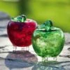 Promo 🔔 Evergreen Fruit Fly Trap, Red 🎁 -Garden Decor Shop unnamed file 11463