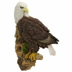 Cheap π Design Toscano American Bald Eagle Bird Of Prey Wall Sculpture - Multicolored π 7 Cheap π Design Toscano American Bald Eagle Bird Of Prey Wall Sculpture - Multicolored π -Garden Decor Shop unnamed file 11519