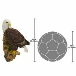 Cheap π Design Toscano American Bald Eagle Bird Of Prey Wall Sculpture - Multicolored π 9 Cheap π Design Toscano American Bald Eagle Bird Of Prey Wall Sculpture - Multicolored π -Garden Decor Shop unnamed file 11521