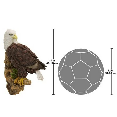 Cheap π Design Toscano American Bald Eagle Bird Of Prey Wall Sculpture - Multicolored π 6 Cheap π Design Toscano American Bald Eagle Bird Of Prey Wall Sculpture - Multicolored π - Image 4