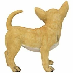 New π Design Toscano Fernando The Chihuahua Statue 𧨠9 New π Design Toscano Fernando The Chihuahua Statue 𧨠-Garden Decor Shop unnamed file 11671