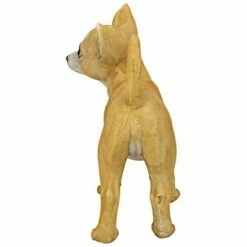 New π Design Toscano Fernando The Chihuahua Statue 𧨠10 New π Design Toscano Fernando The Chihuahua Statue 𧨠-Garden Decor Shop unnamed file 11672