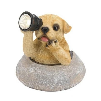 Hot Sale π₯° Zingz & Thingz Zingz & Thingz 10" Polyresin Puppy with Telescope Solar Light Statue π 3 Hot Sale π₯° Zingz & Thingz Zingz & Thingz 10" Polyresin Puppy with Telescope Solar Light Statue π