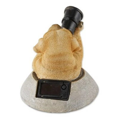 Hot Sale π₯° Zingz & Thingz Zingz & Thingz 10" Polyresin Puppy with Telescope Solar Light Statue π 5 Hot Sale π₯° Zingz & Thingz Zingz & Thingz 10" Polyresin Puppy with Telescope Solar Light Statue π - Image 3