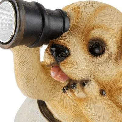 Hot Sale π₯° Zingz & Thingz Zingz & Thingz 10" Polyresin Puppy with Telescope Solar Light Statue π 10 Hot Sale π₯° Zingz & Thingz Zingz & Thingz 10" Polyresin Puppy with Telescope Solar Light Statue π - Image 8