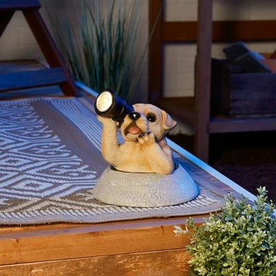 Hot Sale π₯° Zingz & Thingz Zingz & Thingz 10" Polyresin Puppy with Telescope Solar Light Statue π 13 Hot Sale π₯° Zingz & Thingz Zingz & Thingz 10" Polyresin Puppy with Telescope Solar Light Statue π - Image 11