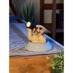 Hot Sale π₯° Zingz & Thingz Zingz & Thingz 10" Polyresin Puppy with Telescope Solar Light Statue π 25 Hot Sale π₯° Zingz & Thingz Zingz & Thingz 10" Polyresin Puppy with Telescope Solar Light Statue π -Garden Decor Shop unnamed file 11798